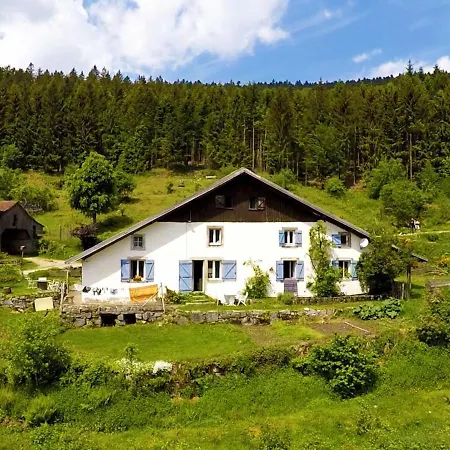 Dans Ferme Avec Terrasse Et Parking - Montagnes Des Vosges - Fr-1-589-164 Διαμέρισμα Le Ménil