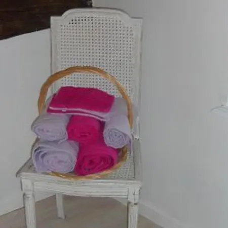 Dans Ferme Avec Terrasse Et Parking - Montagnes Des Vosges - Fr-1-589-164 Apartment Le Menil