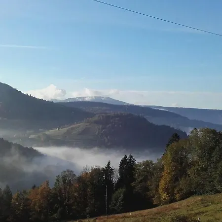 Dans Ferme Avec Terrasse Et Parking - Montagnes Des Vosges - Fr-1-589-164 * Le Menil