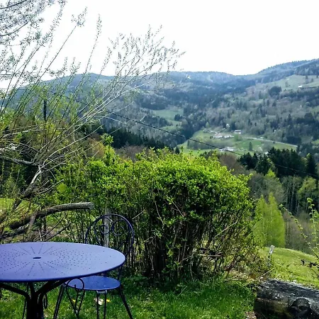 Dans Ferme Avec Terrasse Et Parking - Montagnes Des Vosges - Fr-1-589-164 Le Menil